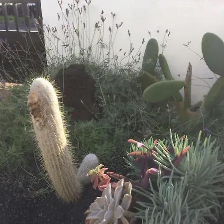 Dom wakacyjny Natural Y Sano: *